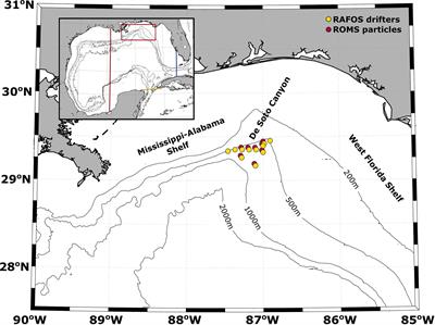 Dispersion of subsurface lagrangian drifters in the northeastern Gulf of Mexico